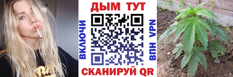 Виды наркоты Пятигорск А ПВП Марихуана МЕФ Гашиш Кокаин