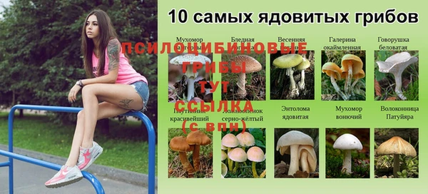 первитин Арсеньев