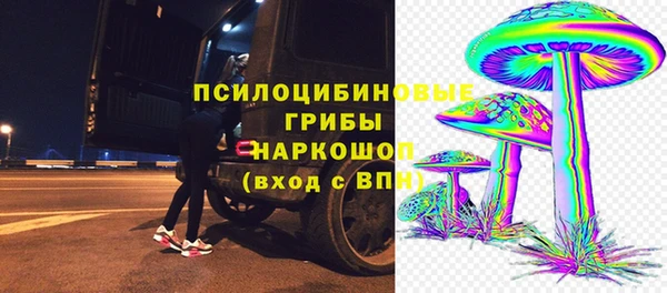 прущие грибы Баксан