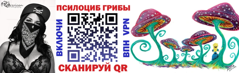 мега зеркало  Пятигорск  Галлюциногенные грибы Psilocybine cubensis 