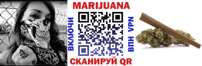 Каннабис индика  Пятигорск 
